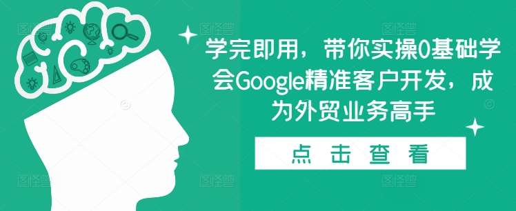 学完即用，带你实操0基础学会Google精准客户开发，成为外贸业务高手-旺仔资源库