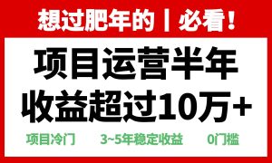 （13663期）年前过肥年的必看的超冷门项目，半年收益超过10万+，-旺仔资源库