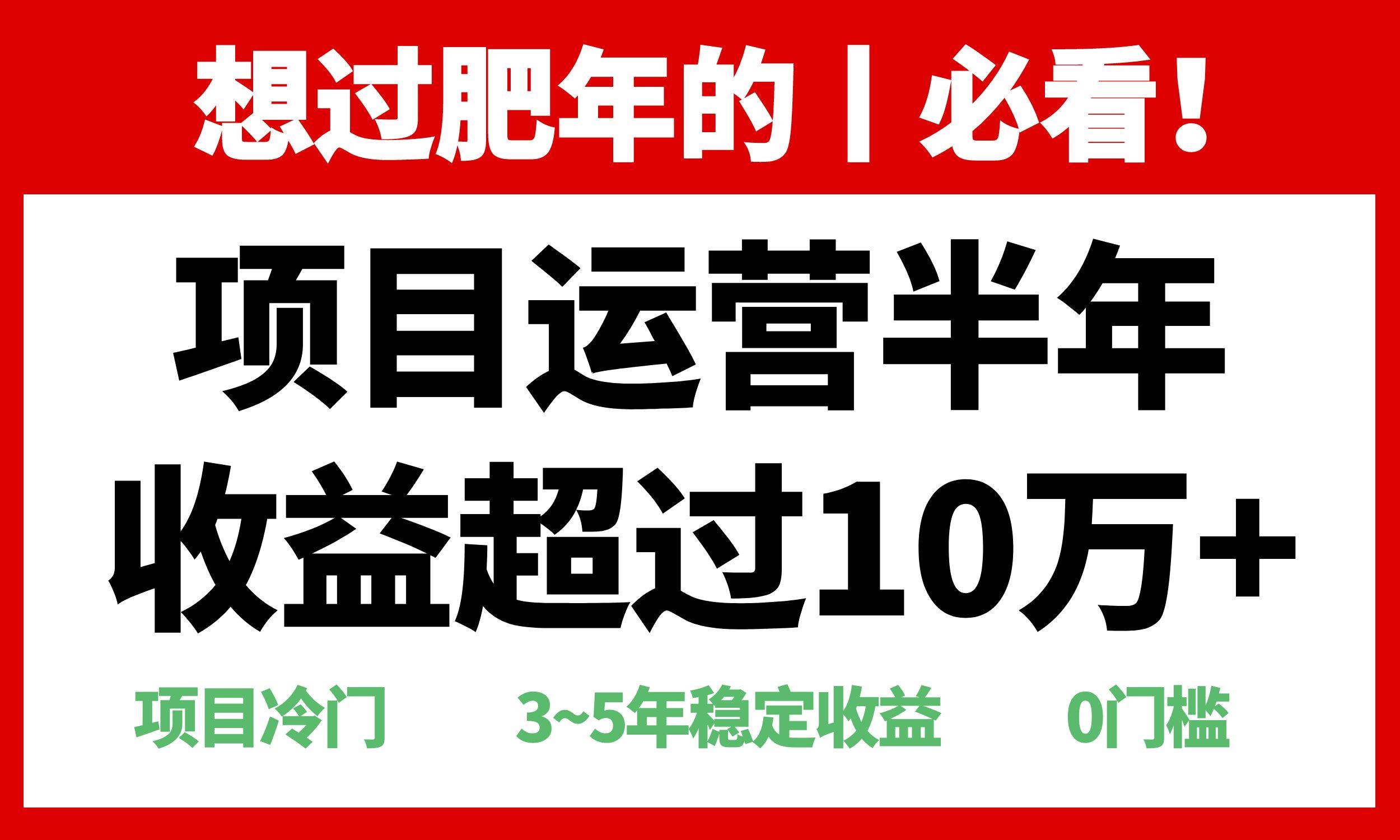 （13663期）年前过肥年的必看的超冷门项目，半年收益超过10万+，-旺仔资源库