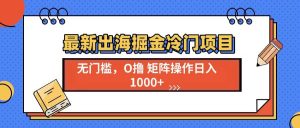 （13672期）最新出海掘金冷门项目，单号日入1000+-旺仔资源库