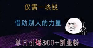 仅需一块钱，借助别人的力量，单日引爆300+创业粉、兼职粉【揭秘】-旺仔资源库