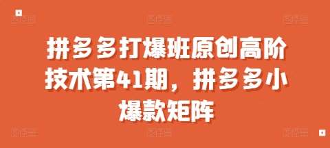 拼多多打爆班原创高阶技术第41期，拼多多小爆款矩阵-旺仔资源库