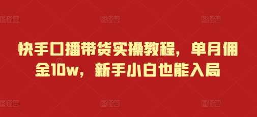 快手口播带货实操教程，单月佣金10w，新手小白也能入局-旺仔资源库