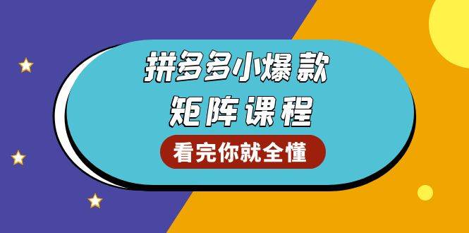 （13699期）拼多多爆款矩阵课程：教你测出店铺爆款，优化销量，提升GMV，打造爆款群-旺仔资源库