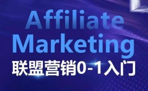 Affiliate Marketing联盟营销0-1入门,联盟营销基本逻辑 联盟平台逻辑及联盟客逻辑全面详解-旺仔资源库