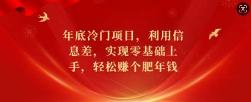 年底冷门项目，利用信息差，实现零基础上手，轻松赚个肥年钱【揭秘】-旺仔资源库