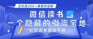 微信读书，一个隐藏的引流宝地，不为人知的小众打法，日引流300+精准创业粉，长尾流量源源不断-旺仔资源库