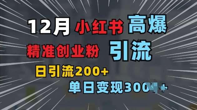 小红书一张图片“引爆”创业粉，单日+200+精准创业粉 可筛选付费意识创业粉【揭秘】-旺仔资源库
