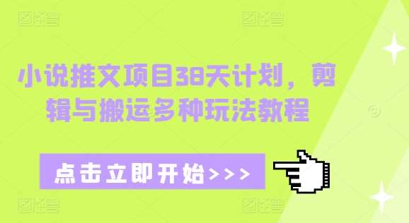 小说推文项目38天计划，剪辑与搬运多种玩法教程-旺仔资源库