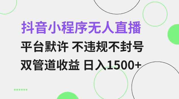 抖音小程序无人直播 平台默许 不违规不封号 双管道收益 日入多张 小白也能轻松操作【仅揭秘】-旺仔资源库