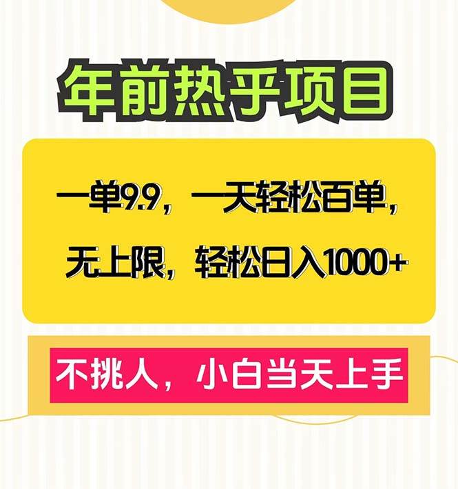 （13795期）一单9.9，一天百单无上限，不挑人，小白当天上手，轻松日入1000+-旺仔资源库