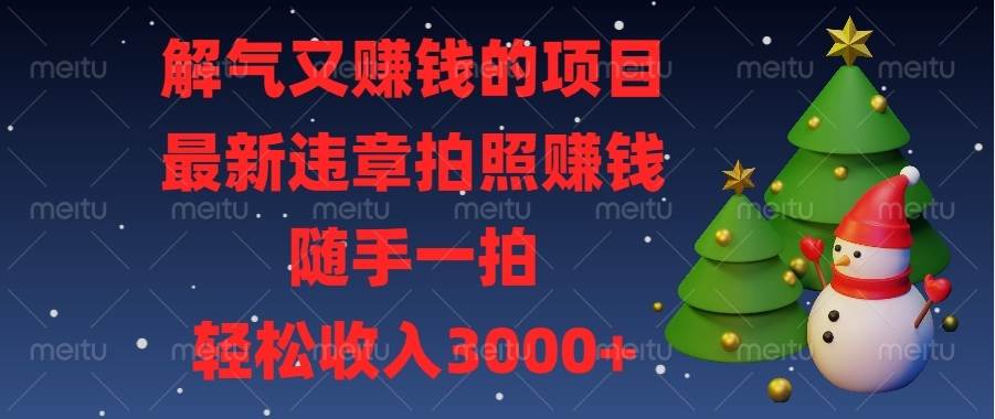 （13804期）解气又赚钱的项目，最新违章拍照赚钱，随手一拍，轻松收入3000+-旺仔资源库