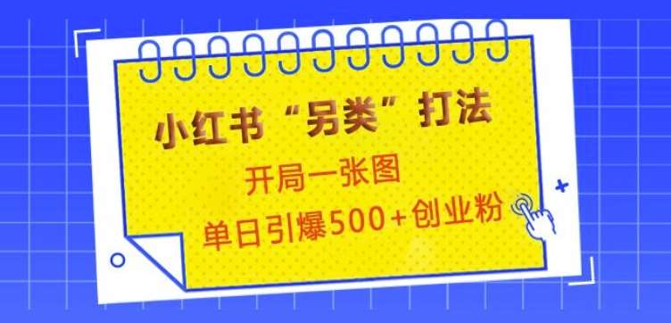 小红书“另类”打法，开局一张图，单日引爆500+精准创业粉【揭秘】-旺仔资源库