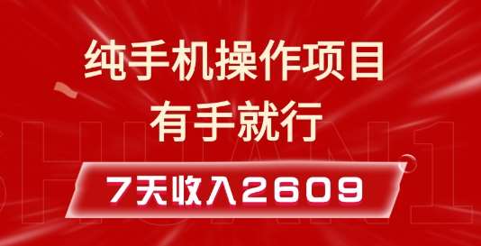 纯手机操作的小项目，有手就能做，7天收入2609+实操教程【揭秘】-旺仔资源库