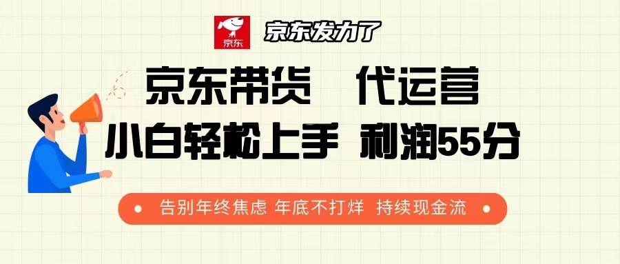 （13833期）京东带货 代运营 利润55分 告别年终焦虑 年底不打烊 持续现金流-旺仔资源库