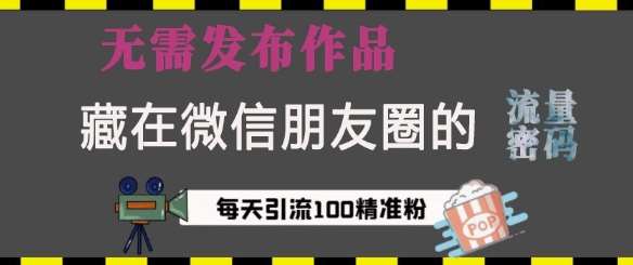 藏在微信朋友圈的流量密码，无需发布作品，单日引流100+精准创业粉【揭秘】-旺仔资源库