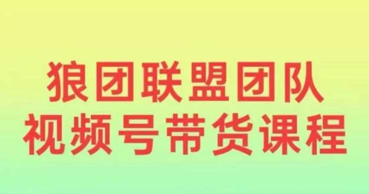 狼团联盟2024视频号带货，0基础小白快速入局视频号-旺仔资源库