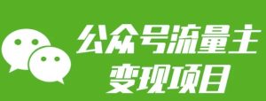 公众号流量主变现项目：每天2小时，普通人每月多挣三五千-旺仔资源库