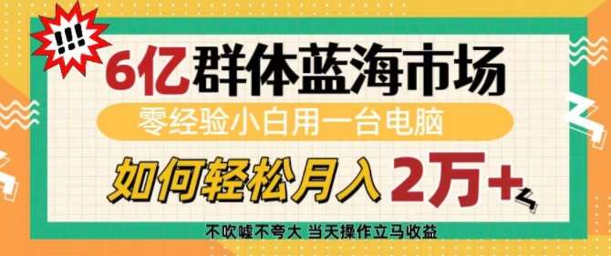 6亿群体蓝海市场，零经验小白用一台电脑，如何轻松月入过w【揭秘】-旺仔资源库