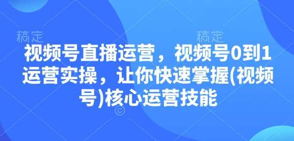 视频号直播运营，视频号0到1运营实操，让你快速掌握(视频号)核心运营技能-旺仔资源库