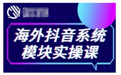 海外抖音Tiktok系统模块实操课，TK短视频带货，TK直播带货，TK小店端实操等-旺仔资源库