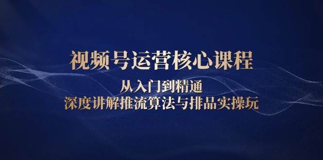 视频号运营核心课程，从入门到精通，深度讲解推流算法与排品实操玩-旺仔资源库