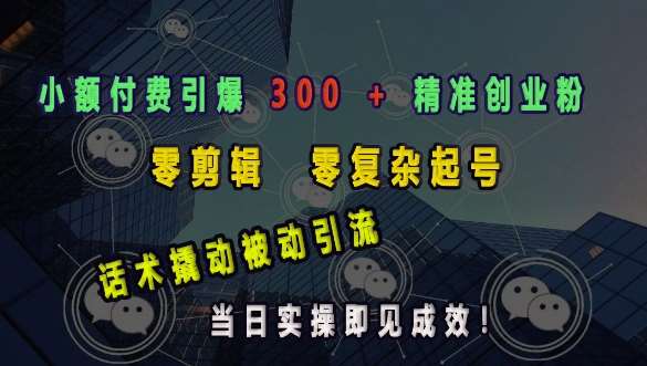 小额付费引爆 300 + 精准创业粉，零剪辑、零复杂起号，话术撬动被动引流，当日实操即见成效-旺仔资源库