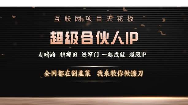 互联网项目天花板，超级合伙人IP，全网都在割韭菜，我来教你做镰刀【仅揭秘】-旺仔资源库