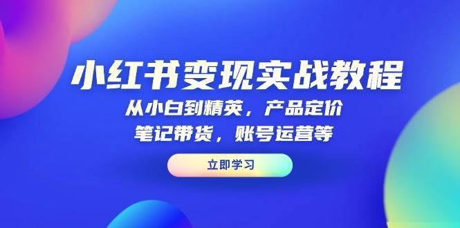 小红书变现实战教程：从小白到精英，产品定价，笔记带货，账号运营等-旺仔资源库