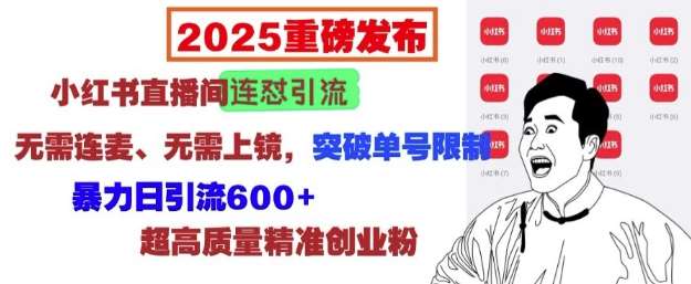 2025重磅发布：小红书直播间连怼引流，无需连麦、无需上镜，突破单号限制，暴力日引流600+-旺仔资源库