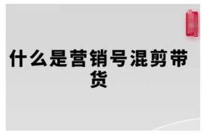 营销号混剪带货，从内容创作到流量变现的全流程，教你用营销号形式做混剪带货-旺仔资源库