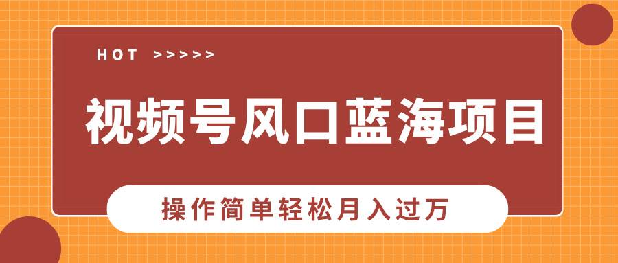 （13945期）视频号风口蓝海项目，中老年人的流量密码，操作简单轻松月入过万-旺仔资源库