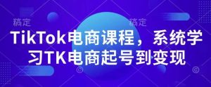 TikTok电商课程，​系统学习TK电商起号到变现-旺仔资源库
