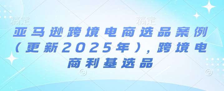 亚马逊跨境电商选品案例(更新2025年)，跨境电商利基选品-旺仔资源库