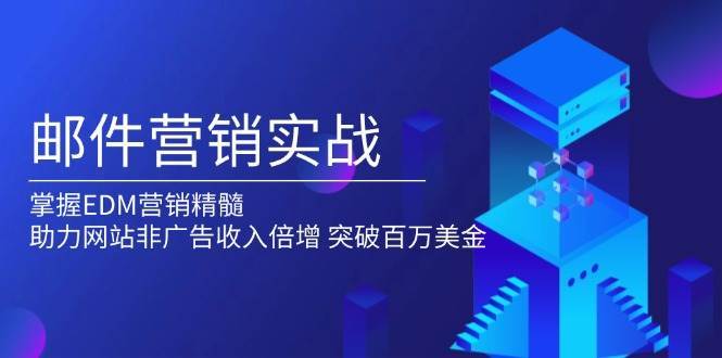 邮件营销实战，掌握EDM营销精髓，助力网站非广告收入倍增，突破百万美金-旺仔资源库