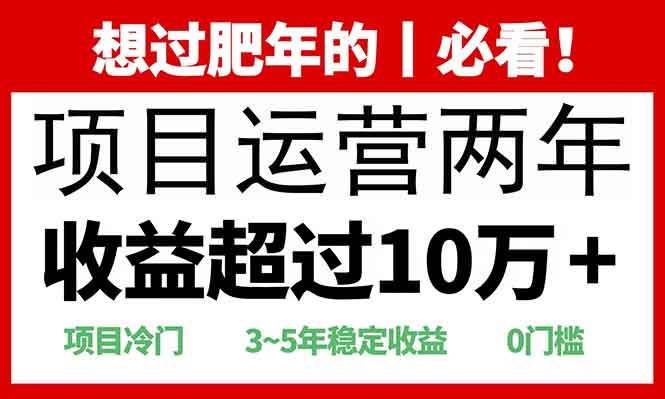 （13952期）2025快递站回收玩法：收益超过10万+，项目冷门，0门槛-旺仔资源库