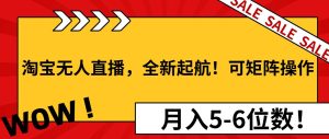 （13946期）淘宝无人直播，全新起航！可矩阵操作，月入5-6位数！-旺仔资源库
