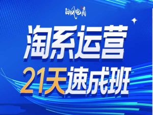淘系运营21天速成班35期，年前最后一波和2025方向-旺仔资源库