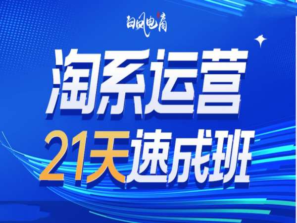 淘系运营21天速成班35期，年前最后一波和2025方向-旺仔资源库