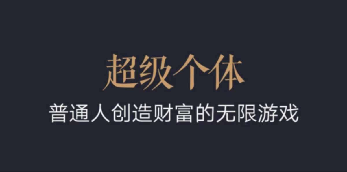 超级个体：2024-2025翻盘指南，普通人创造财富的无限游戏-旺仔资源库