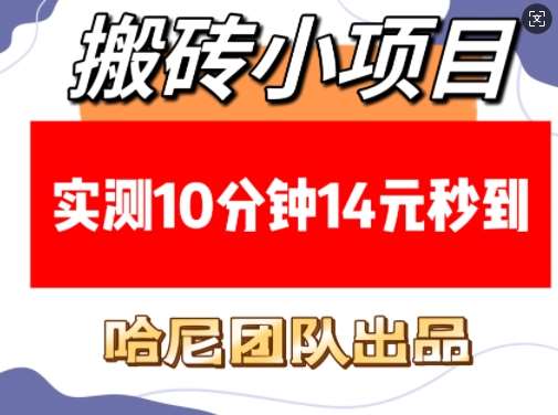 搬砖小项目，实测10分钟14元秒到，每天稳定几张(赠送必看稳定)-旺仔资源库