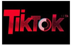 TikTok ads投流秘籍，涵盖tiktok整体投放思路，教你搭建测试计划-旺仔资源库