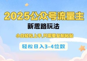 2025公双号流量主新思路玩法,小白轻松上手,只需要复制粘贴,轻松日入3-4位数-旺仔资源库