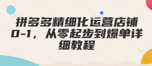 拼多多精细化运营店铺0-1，从零起步到爆单详细教程-旺仔资源库