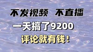 （14018期）不发作品不直播，评论就有钱，一条最高10块，一天搞了9200-旺仔资源库