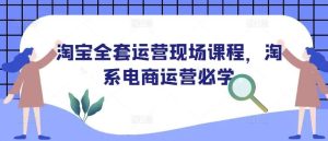 淘宝全套运营现场课程，淘系电商运营必学-旺仔资源库