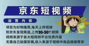 京东短视频带货课，无需自己拍摄剪辑，保姆式教学，两天快速上手-旺仔资源库