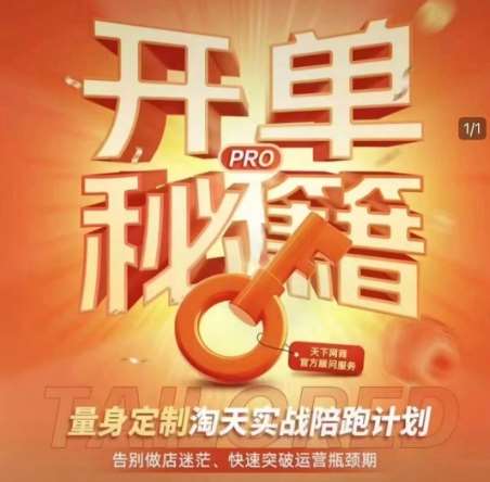 淘宝开单秘籍PRO，量身定制淘天实战陪跑计划，告别做店迷茫、快速突破运营瓶颈期-旺仔资源库