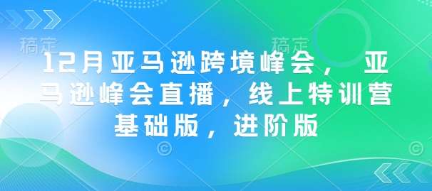 12月亚马逊跨境峰会， 亚马逊峰会直播，线上特训营基础版，进阶版-旺仔资源库