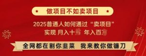 必看!做项目不如卖项目，2025普通人如何通过“卖项目”实现月入十个，年入百个【揭秘】-旺仔资源库